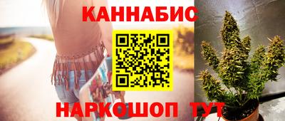 крисы Донской