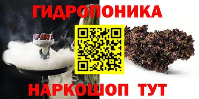 крисы Донской