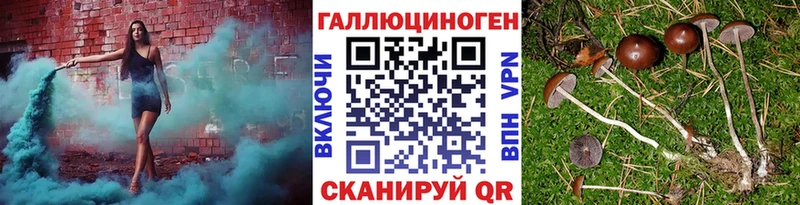 Галлюциногенные грибы Psilocybe  закладка  Когалым 
