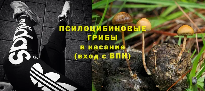 Галлюциногенные грибы MAGIC MUSHROOMS  Когалым 