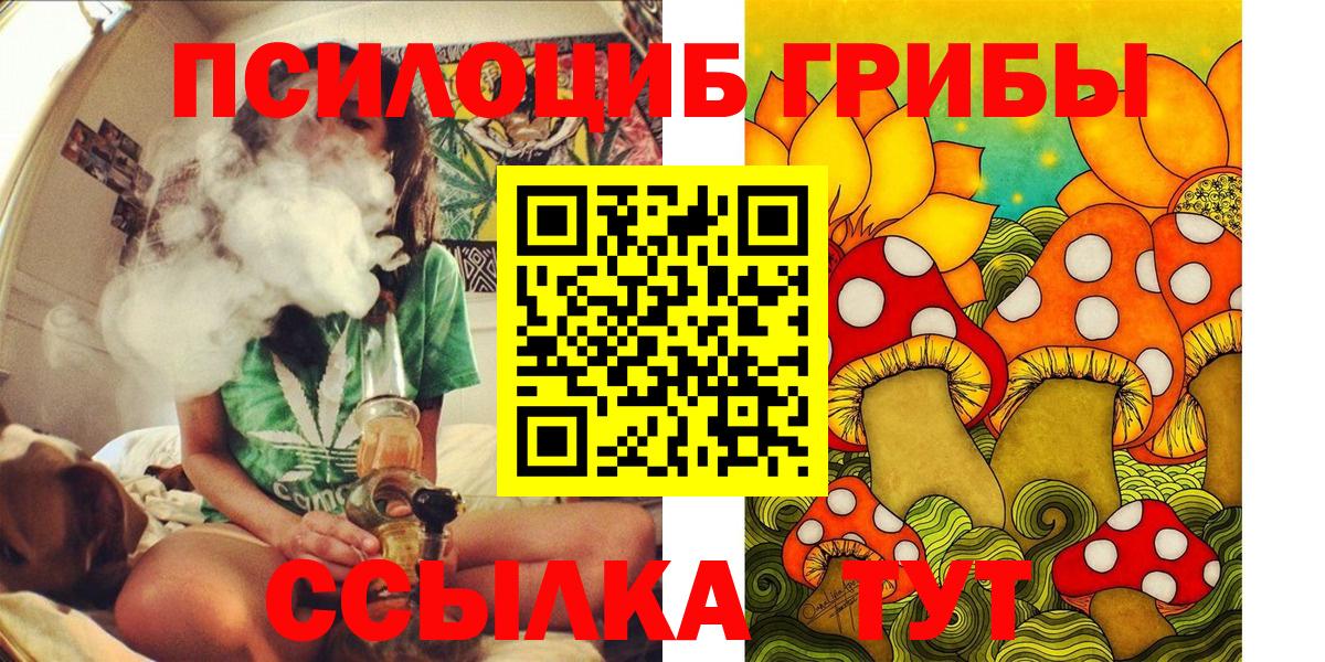 Галлюциногенные грибы Cubensis Когалым