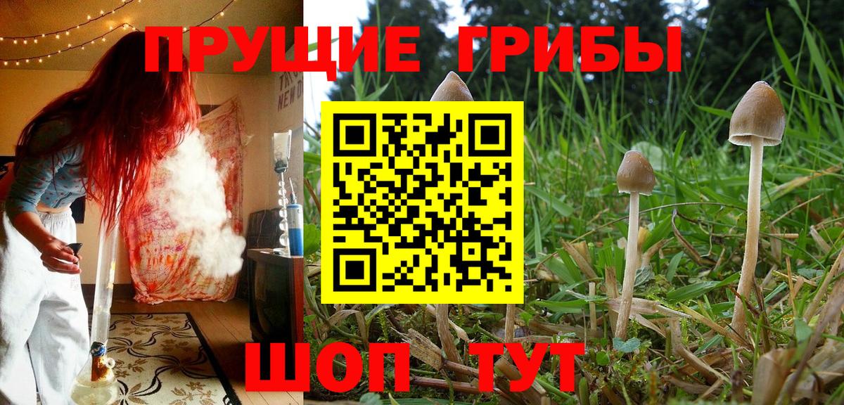 купить наркоту  Когалым  Галлюциногенные грибы ЛСД 